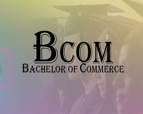 BCom (Computer Application)          