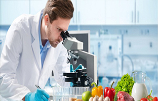 B.Sc Food Technology